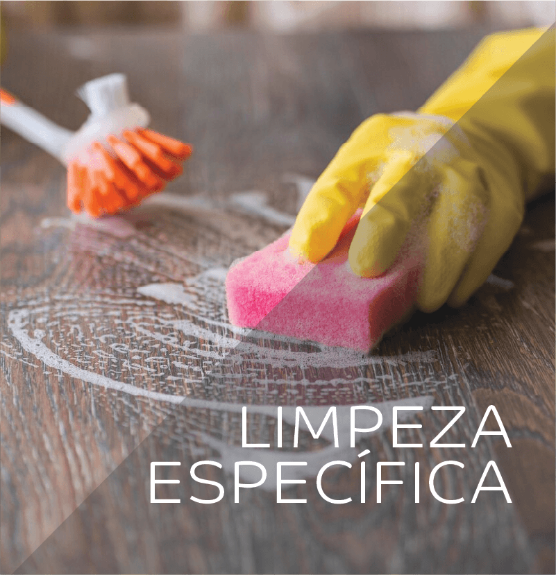 Limpeza Especifica